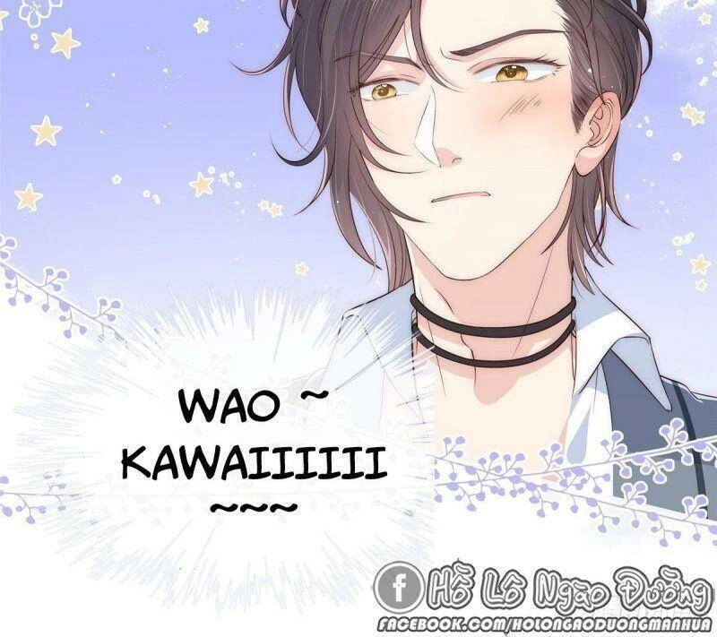 Cưng Chiều Đại Lão 3 Tuổi Rưỡi Chapter 0.5 - 15