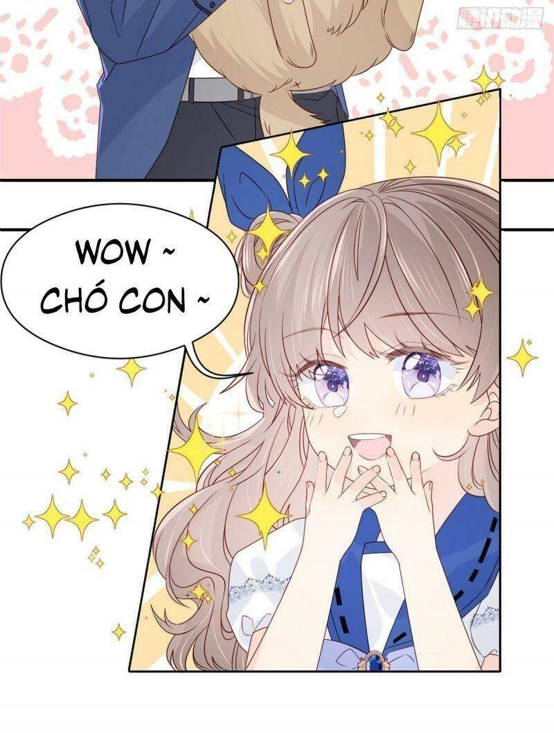 Cưng Chiều Đại Lão 3 Tuổi Rưỡi Chapter 12 - 16