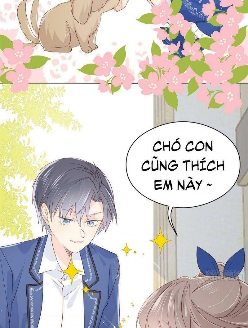 Cưng Chiều Đại Lão 3 Tuổi Rưỡi Chapter 12 - 19