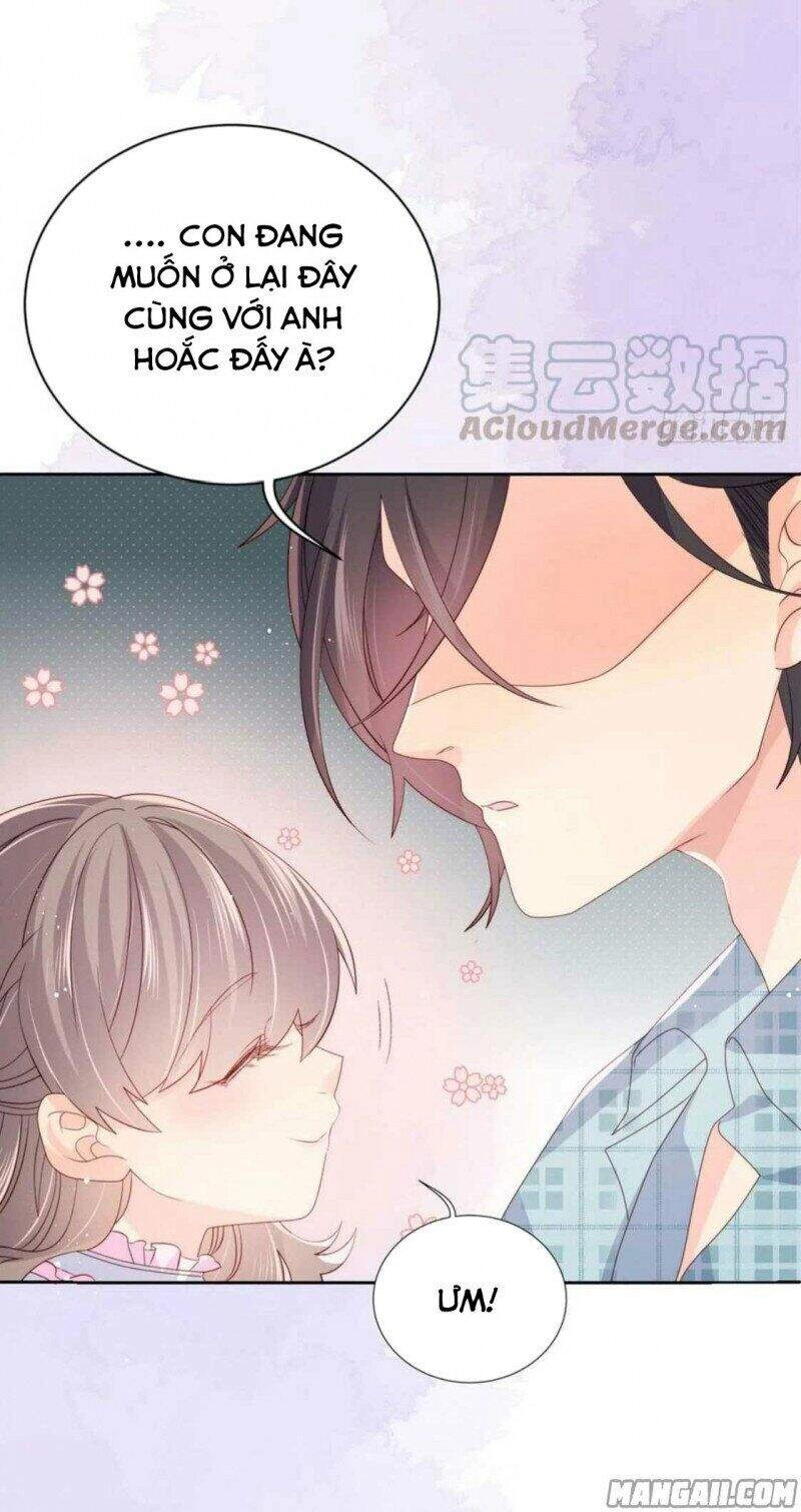 Cưng Chiều Đại Lão 3 Tuổi Rưỡi Chapter 40 - 17