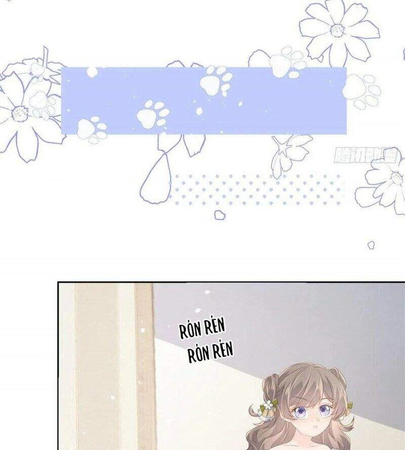 Cưng Chiều Đại Lão 3 Tuổi Rưỡi Chapter 79 - 6