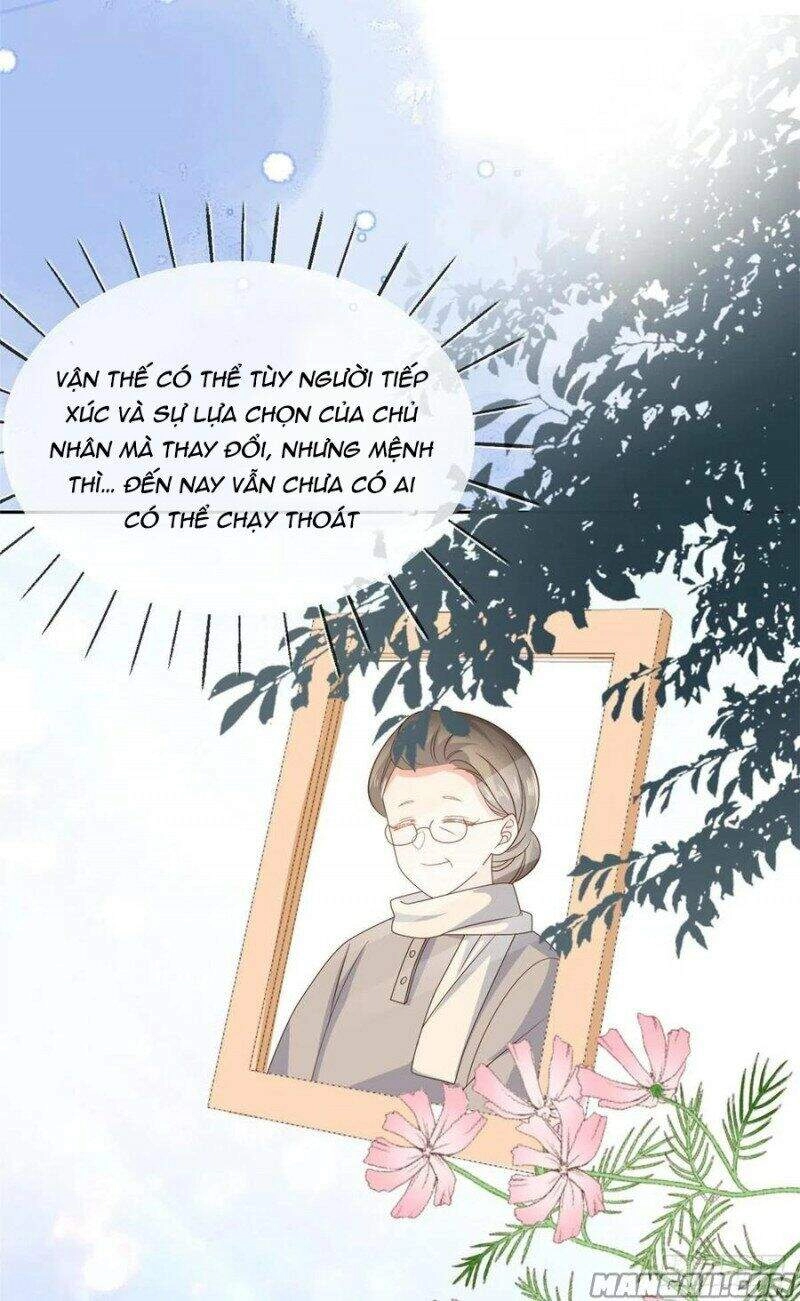 Cưng Chiều Đại Lão 3 Tuổi Rưỡi Chapter 138 - 10