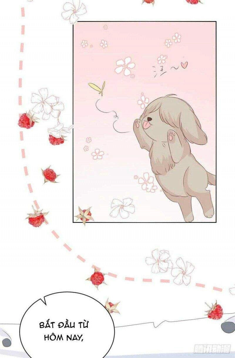 Cưng Chiều Đại Lão 3 Tuổi Rưỡi Chapter 141 - 19