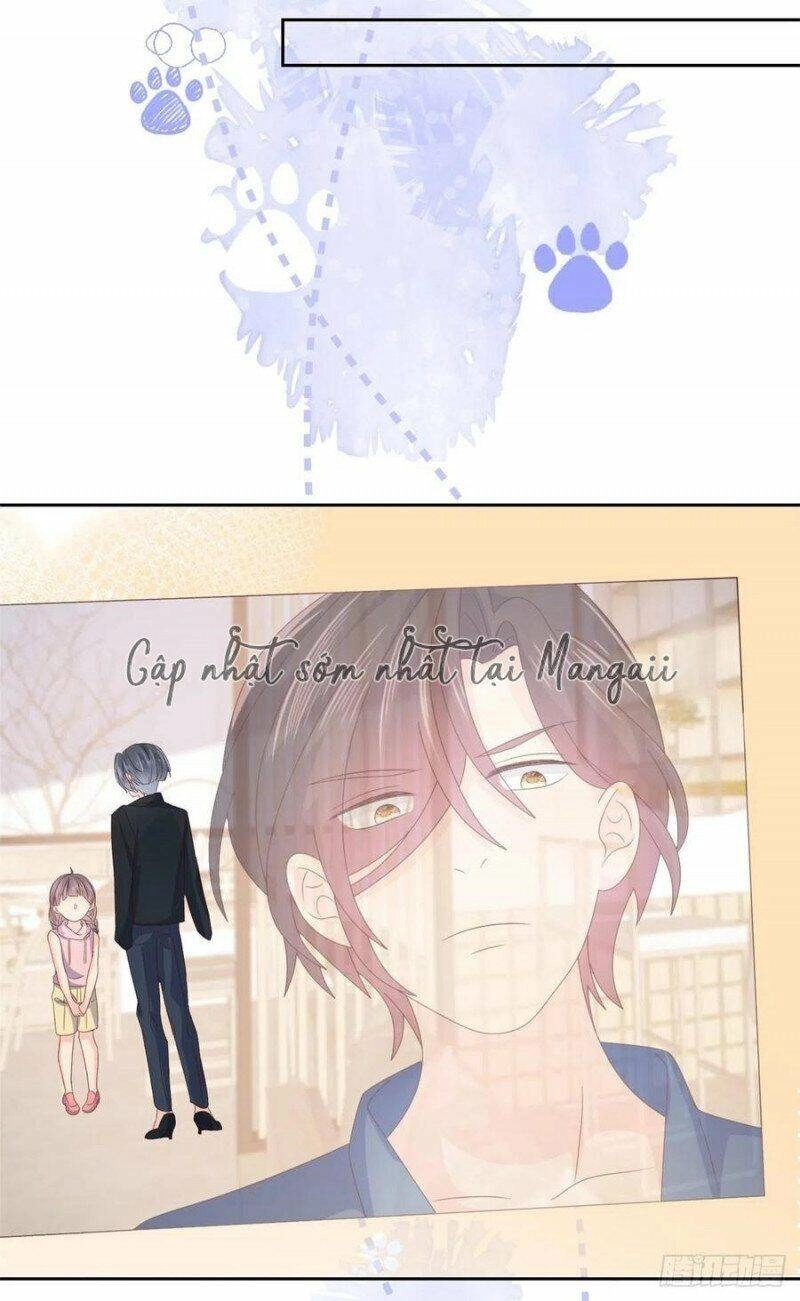 Cưng Chiều Đại Lão 3 Tuổi Rưỡi Chapter 146 - 17