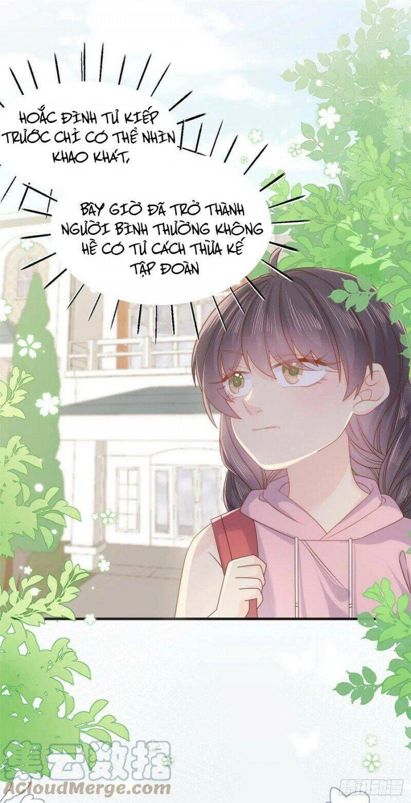 Cưng Chiều Đại Lão 3 Tuổi Rưỡi Chapter 164 - 11