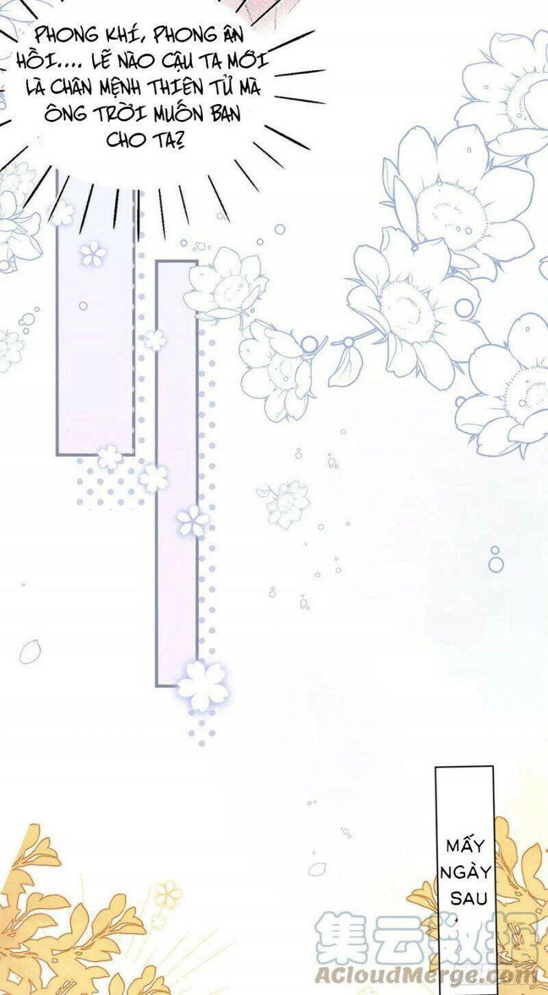 Cưng Chiều Đại Lão 3 Tuổi Rưỡi Chapter 164 - 13