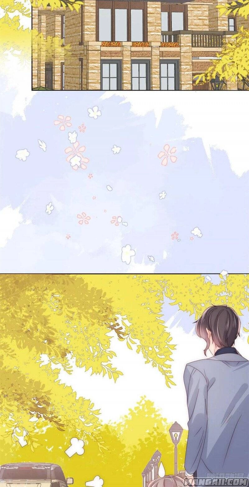 Cưng Chiều Đại Lão 3 Tuổi Rưỡi Chapter 169 - 6