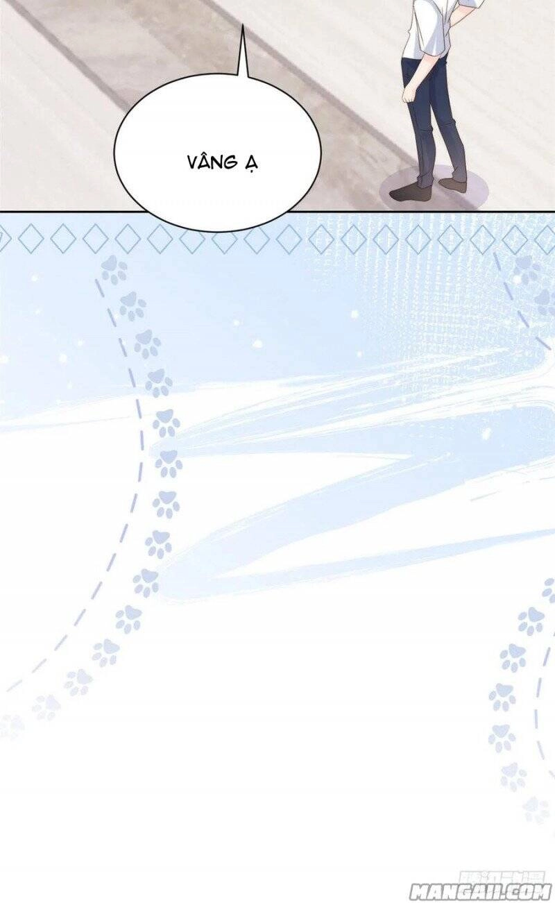 Cưng Chiều Đại Lão 3 Tuổi Rưỡi Chapter 170 - 13