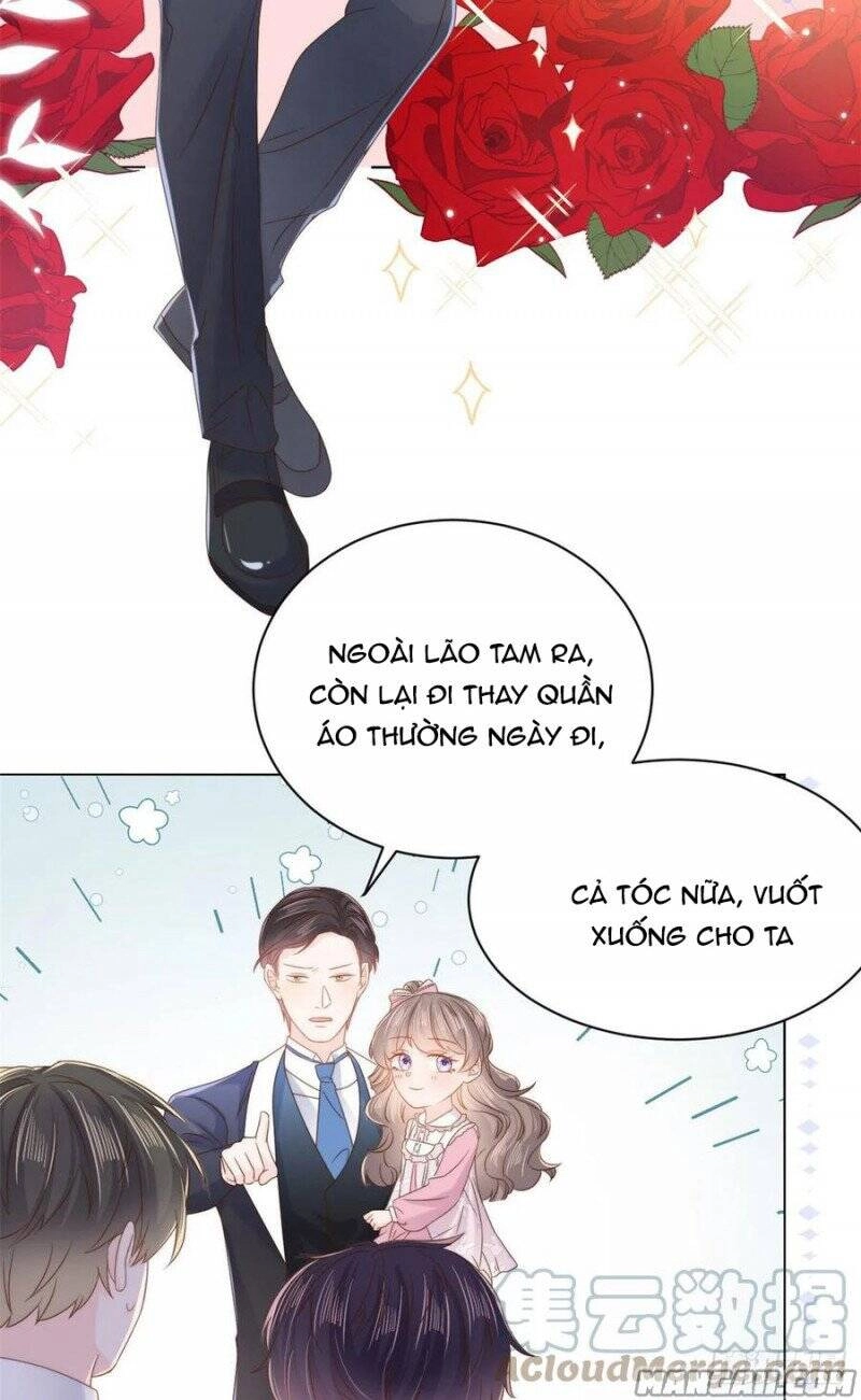 Cưng Chiều Đại Lão 3 Tuổi Rưỡi Chapter 172 - 19