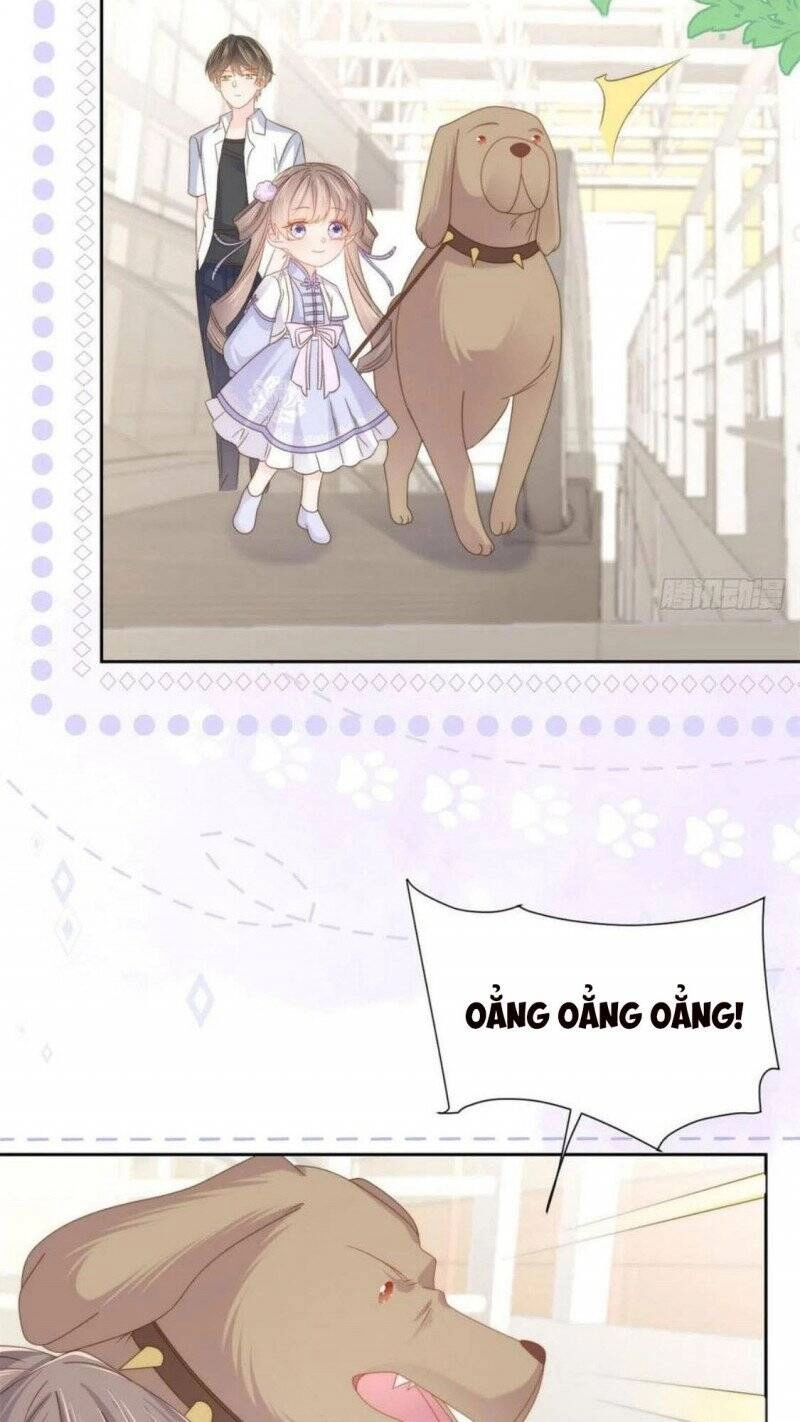 Cưng Chiều Đại Lão 3 Tuổi Rưỡi Chapter 181 - 6