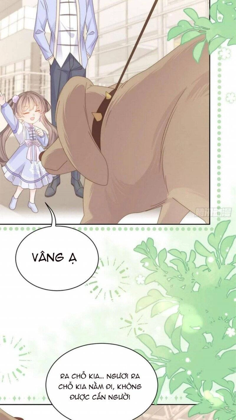 Cưng Chiều Đại Lão 3 Tuổi Rưỡi Chapter 181 - 13