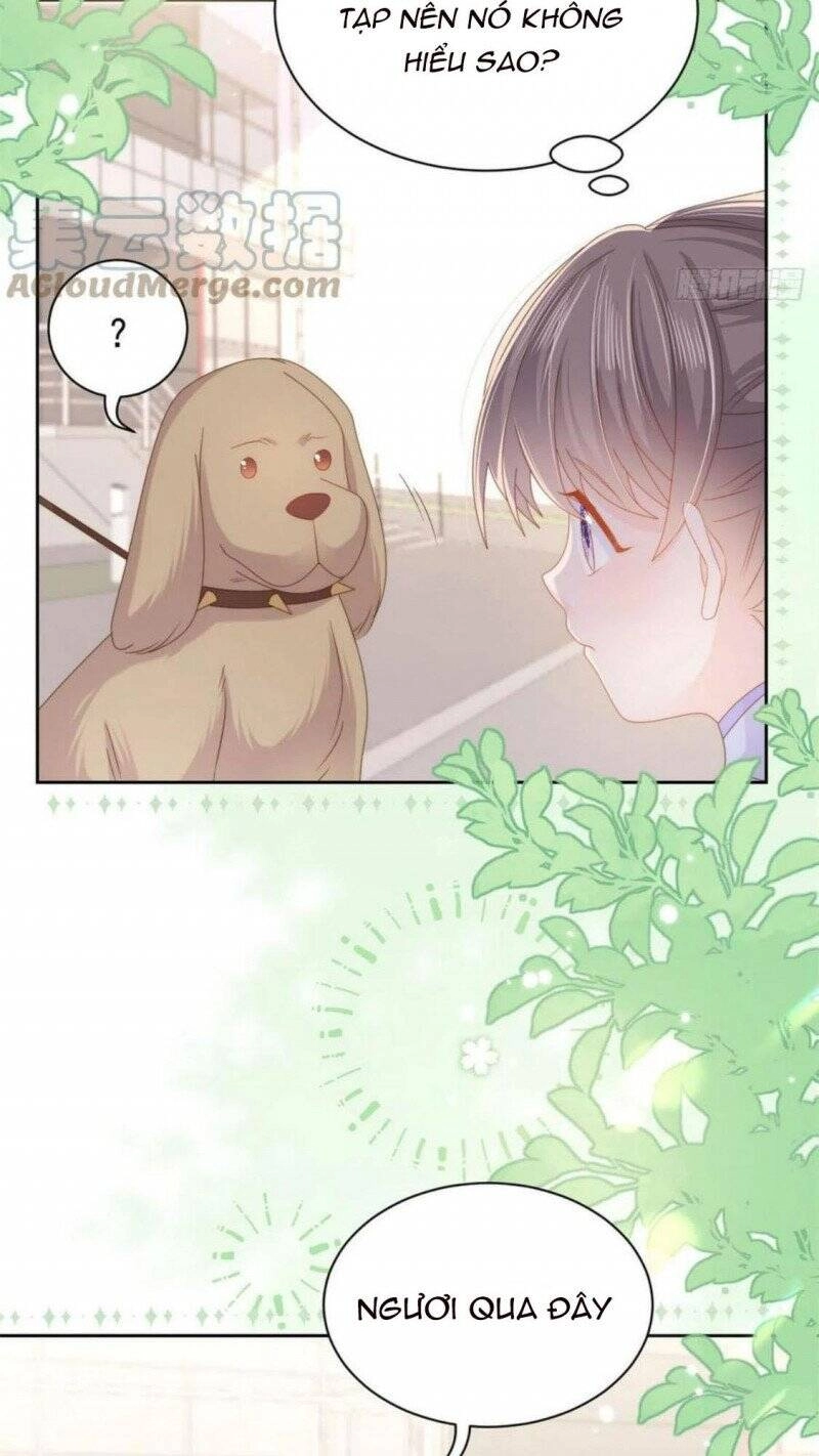 Cưng Chiều Đại Lão 3 Tuổi Rưỡi Chapter 181 - 15