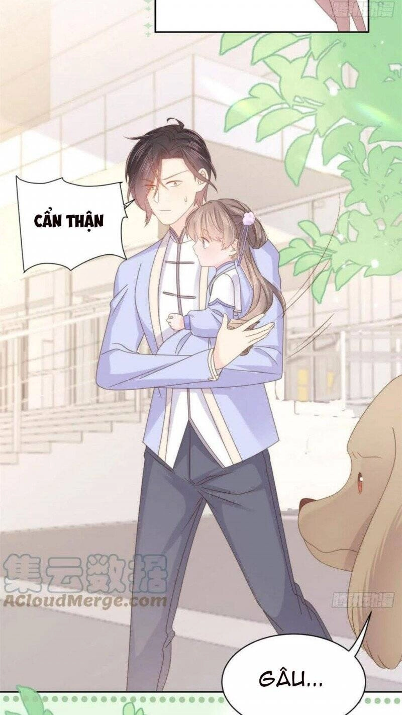 Cưng Chiều Đại Lão 3 Tuổi Rưỡi Chapter 181 - 17