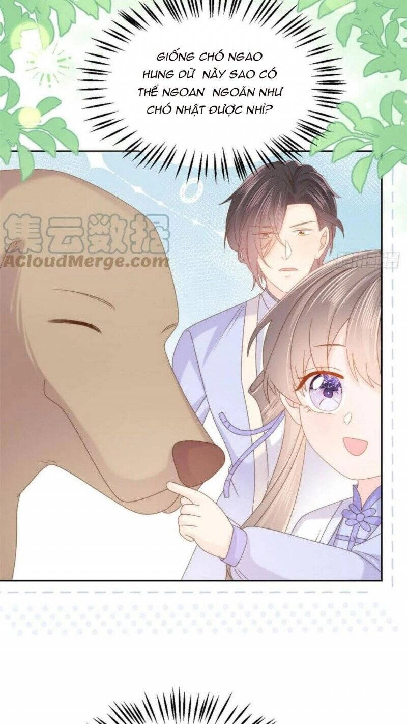 Cưng Chiều Đại Lão 3 Tuổi Rưỡi Chapter 182 - 4