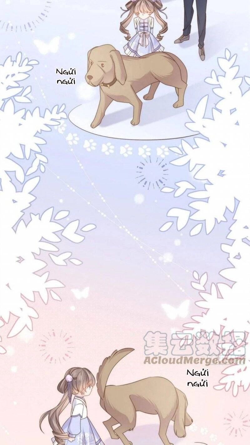 Cưng Chiều Đại Lão 3 Tuổi Rưỡi Chapter 182 - 19