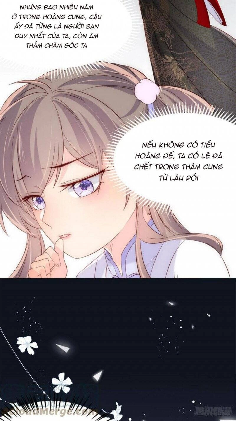 Cưng Chiều Đại Lão 3 Tuổi Rưỡi Chapter 184 - 19