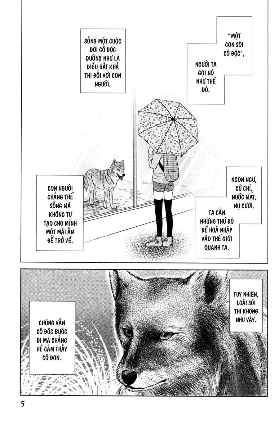 Bambi To Dhole Chapter 1 - 7