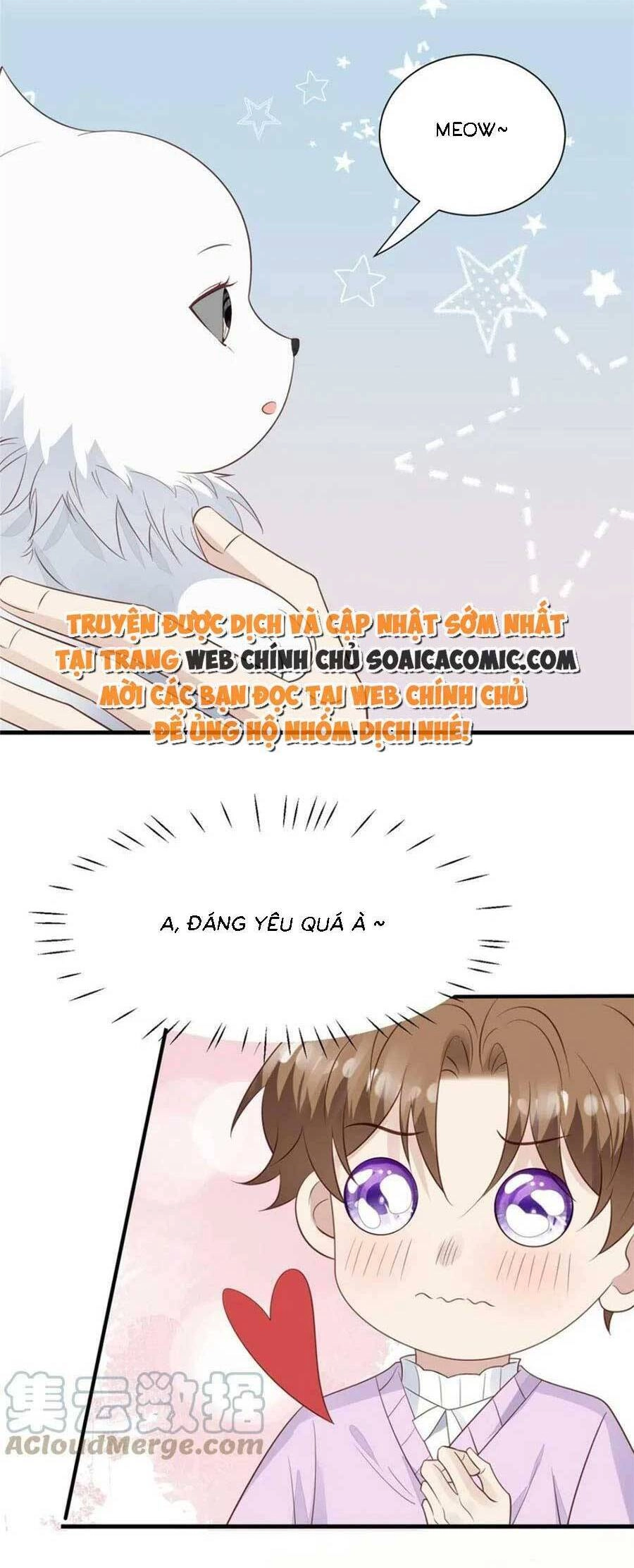 Dựa Vào Đại Lão Ổn Định Vị Trí C Trong Nam Đoàn Chapter 185 - 3