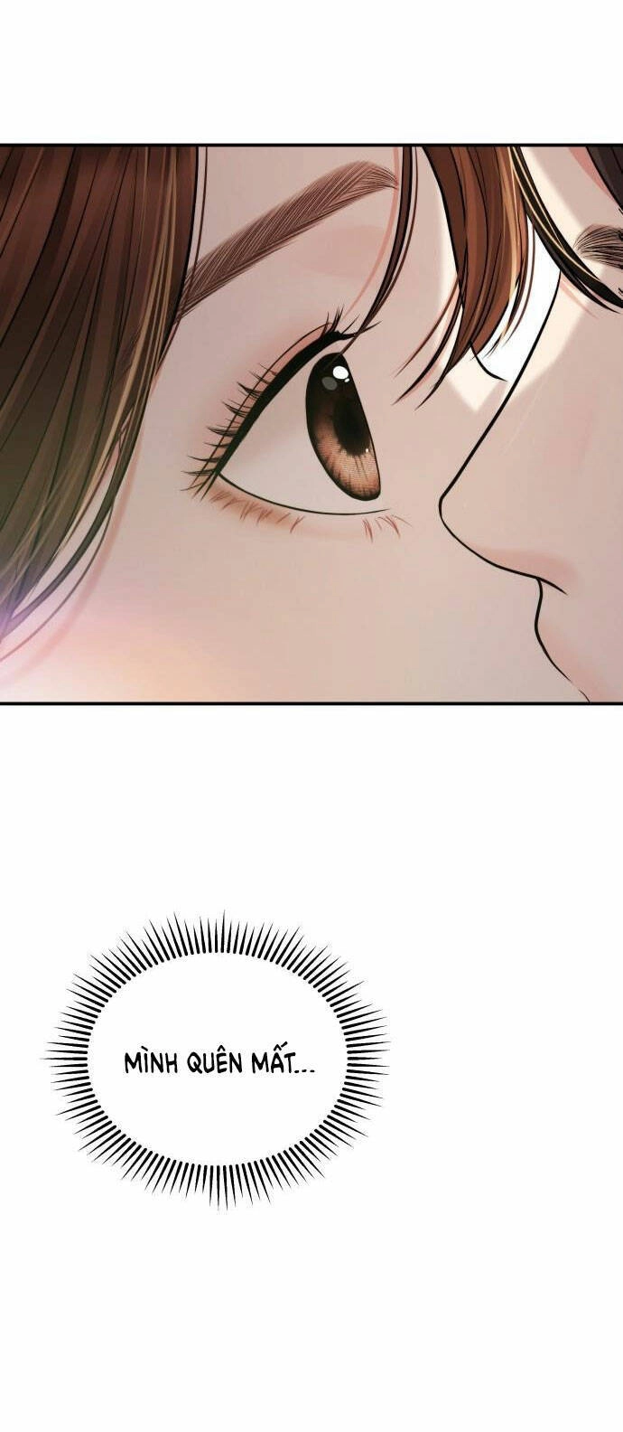 Gửi Em, Người Nuốt Trọn Vì Sao Chapter 94.1 - 6