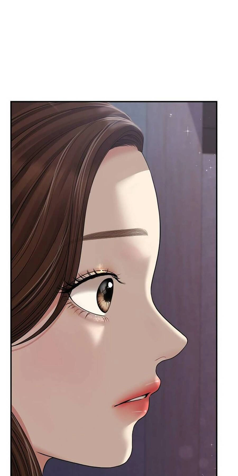 Gửi Em, Người Nuốt Trọn Vì Sao Chapter 111.2 - 67