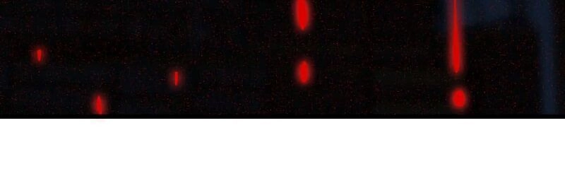 Vợ Tôi Là Quỷ Vương Chapter 151 - 24