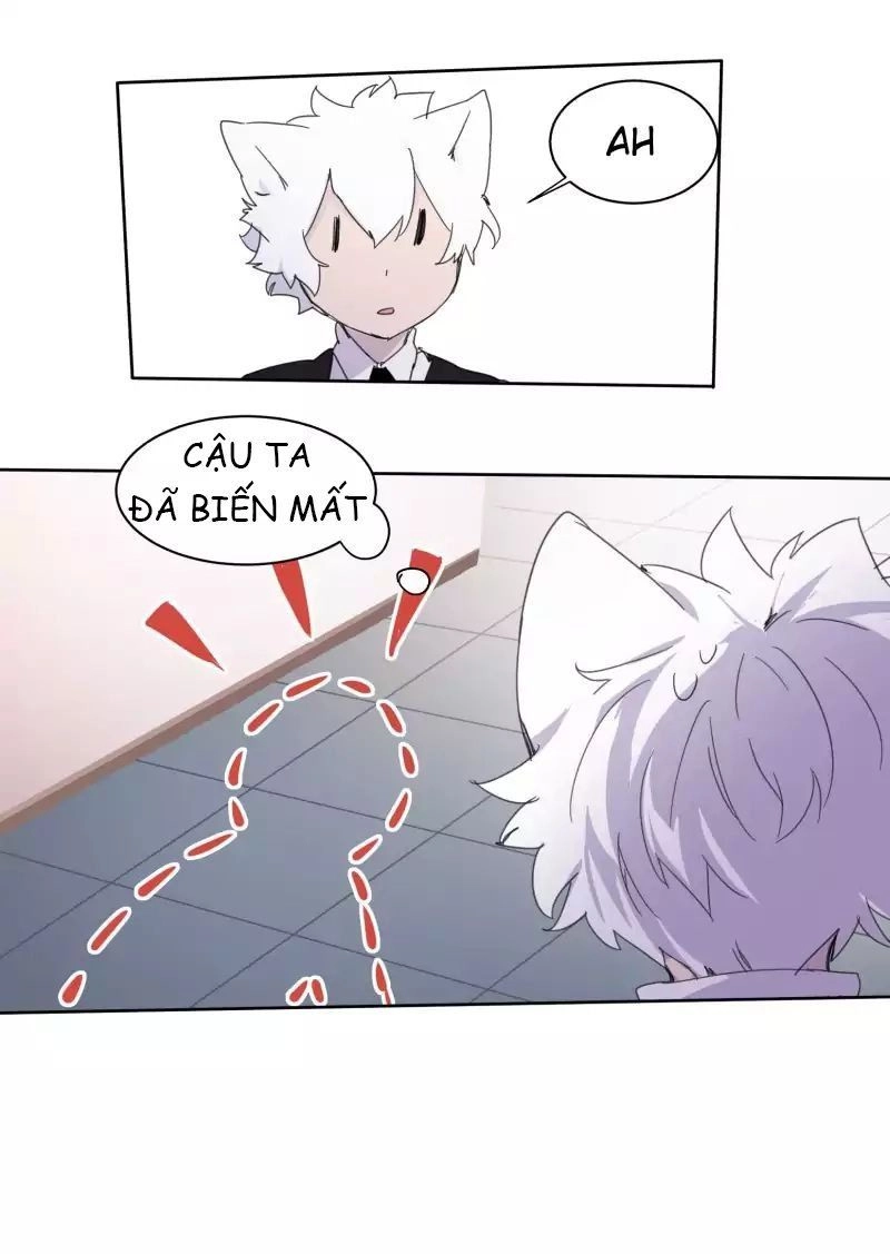 Lumine Chapter 11 - 16