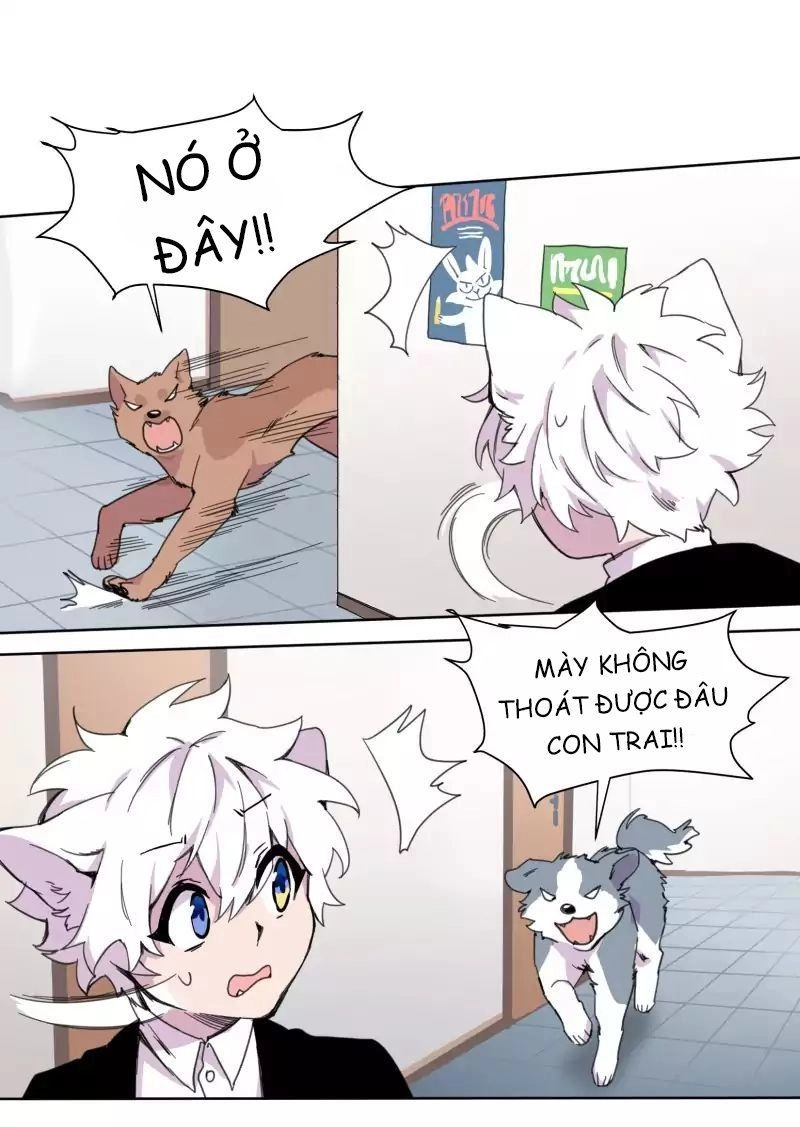 Lumine Chapter 19 - 23