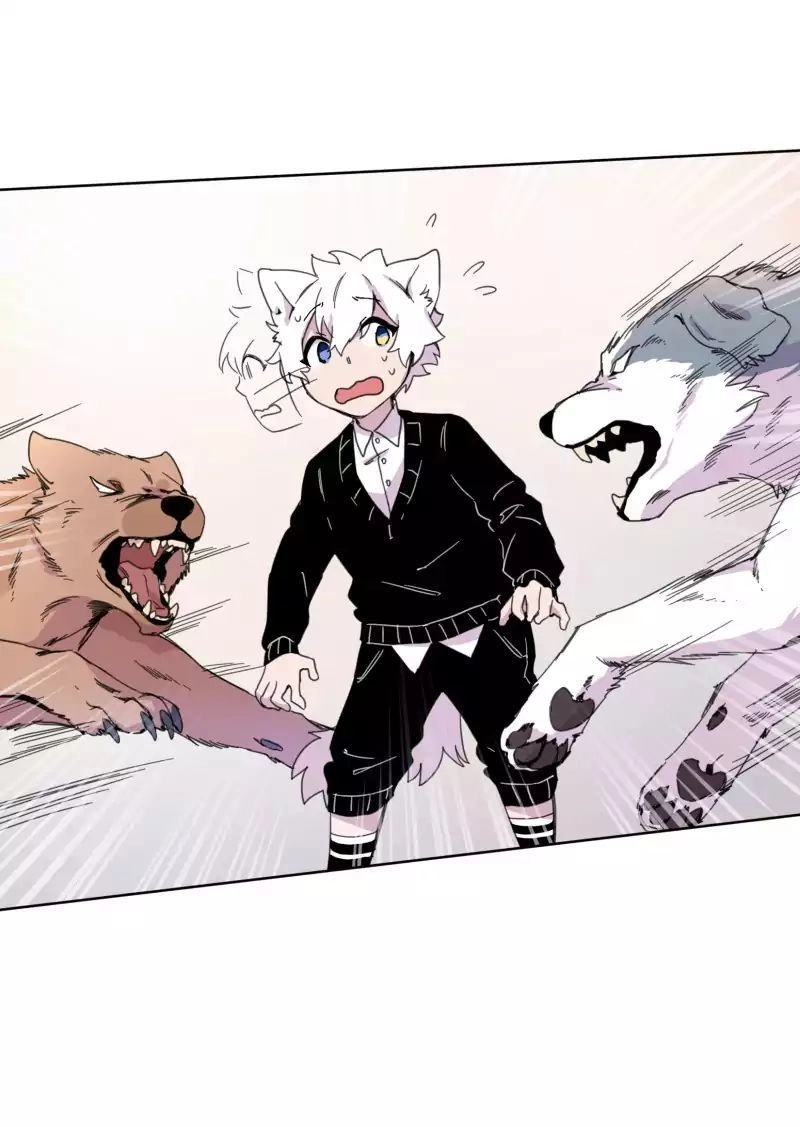 Lumine Chapter 19 - 24