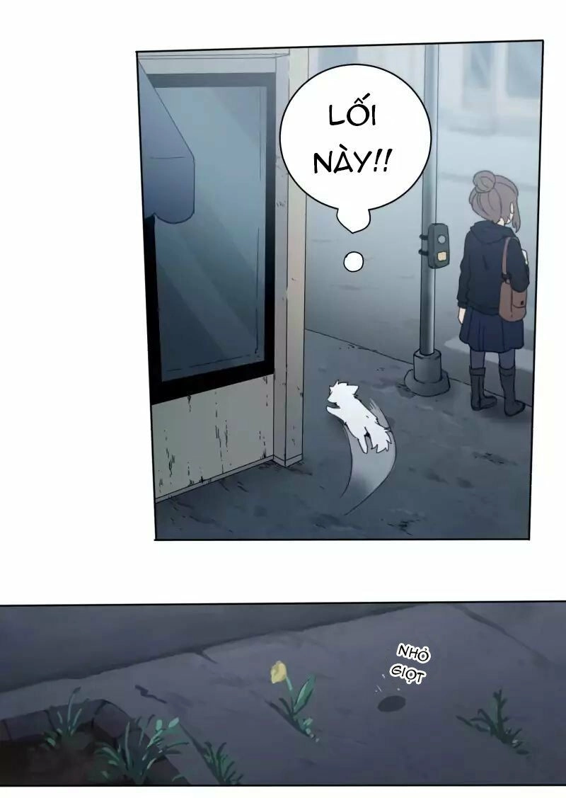 Lumine Chapter 22 - 25