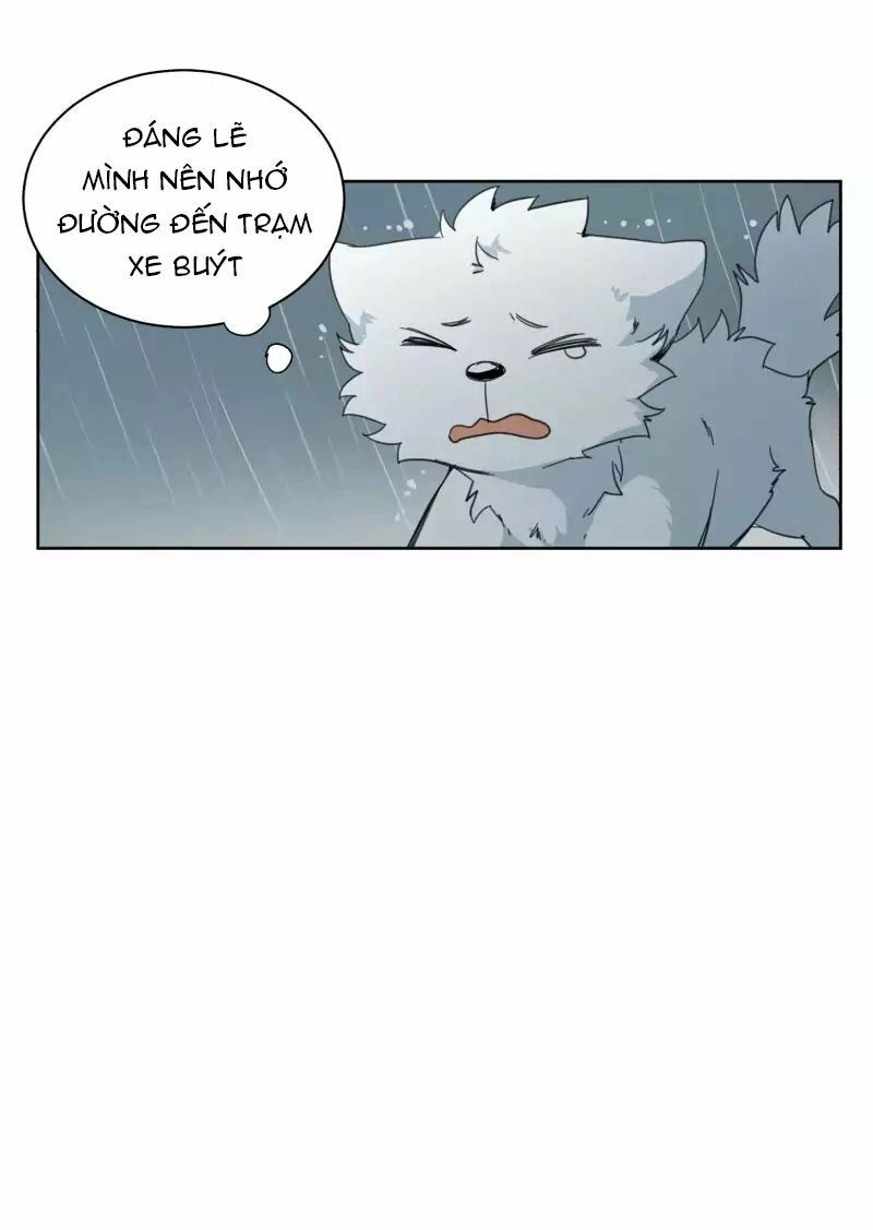 Lumine Chapter 22 - 27