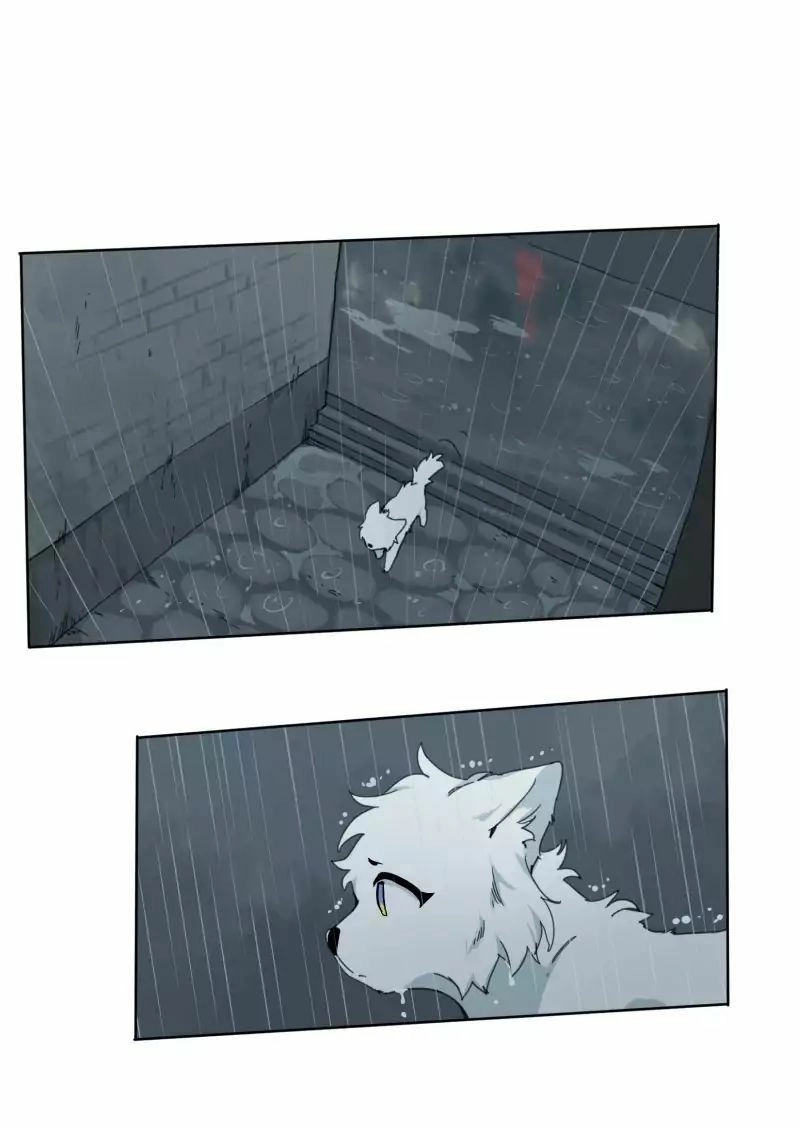 Lumine Chapter 23 - 36