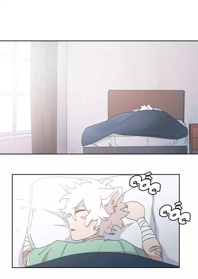 Lumine Chapter 30 - 4