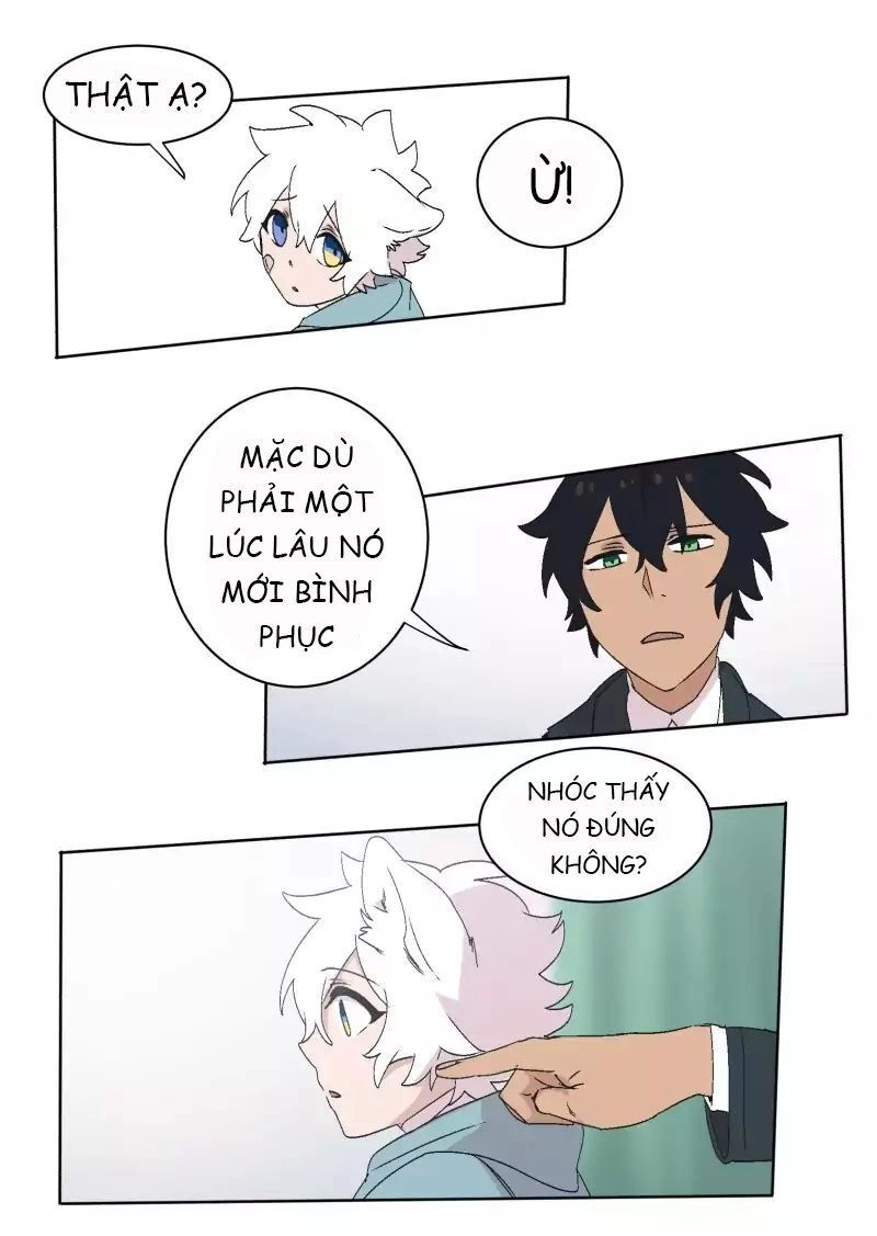 Lumine Chapter 30 - 32