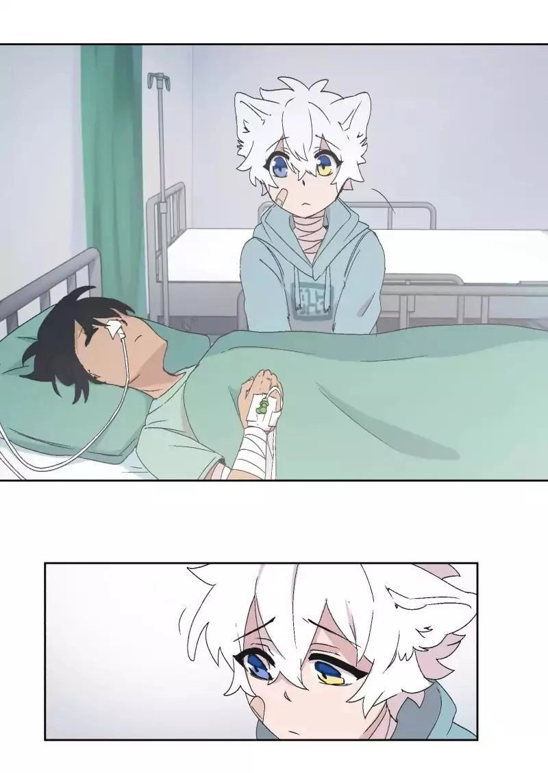 Lumine Chapter 30 - 44