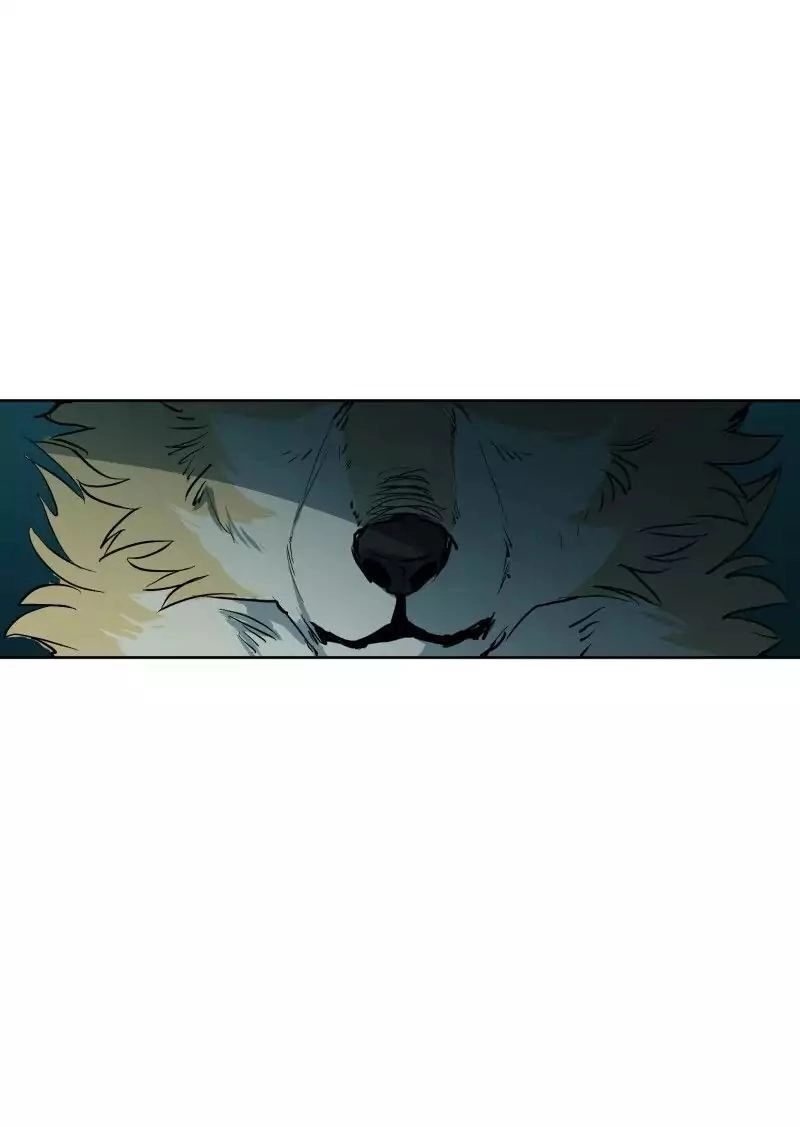 Lumine Chapter 49 - 10