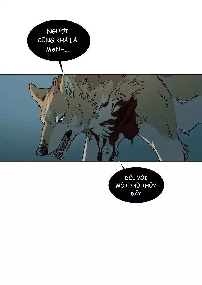 Lumine Chapter 50 - 13