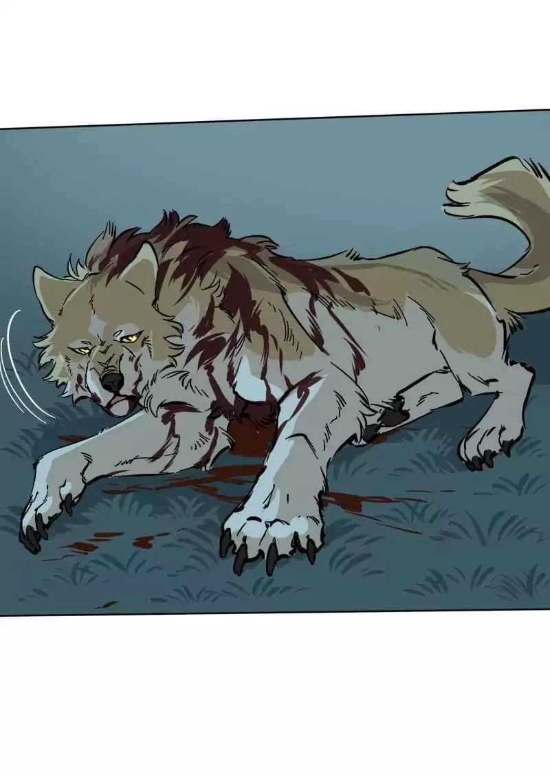 Lumine Chapter 53 - 14