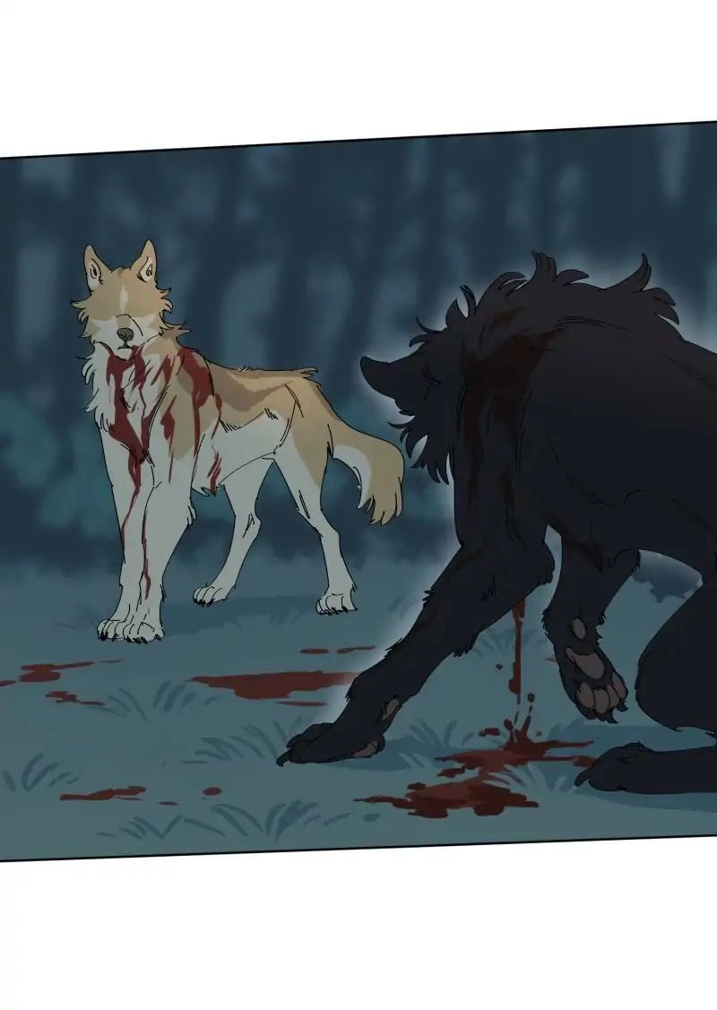 Lumine Chapter 55 - 11