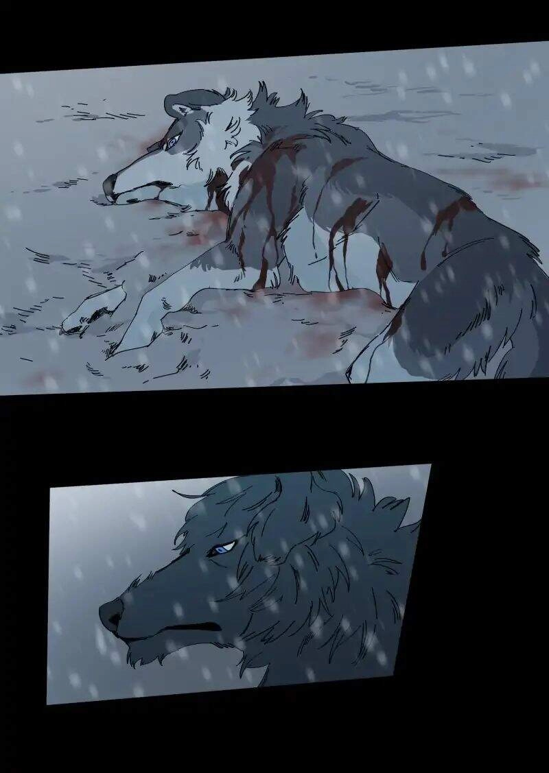 Lumine Chapter 62 - 24