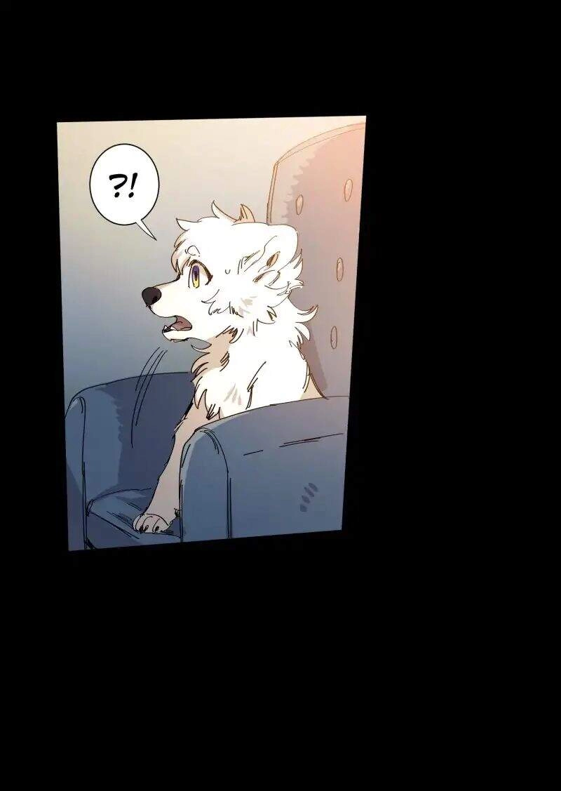 Lumine Chapter 63 - 15