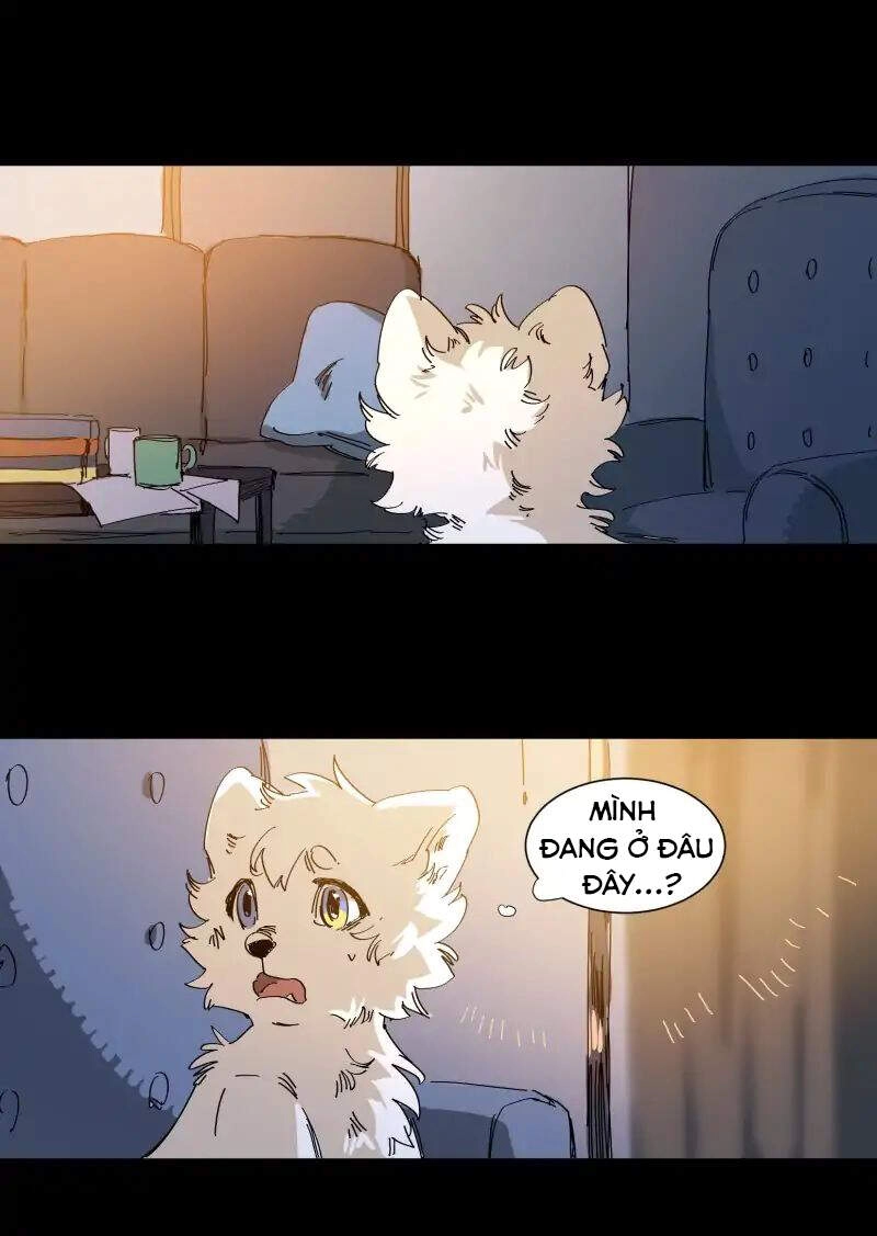 Lumine Chapter 63 - 16