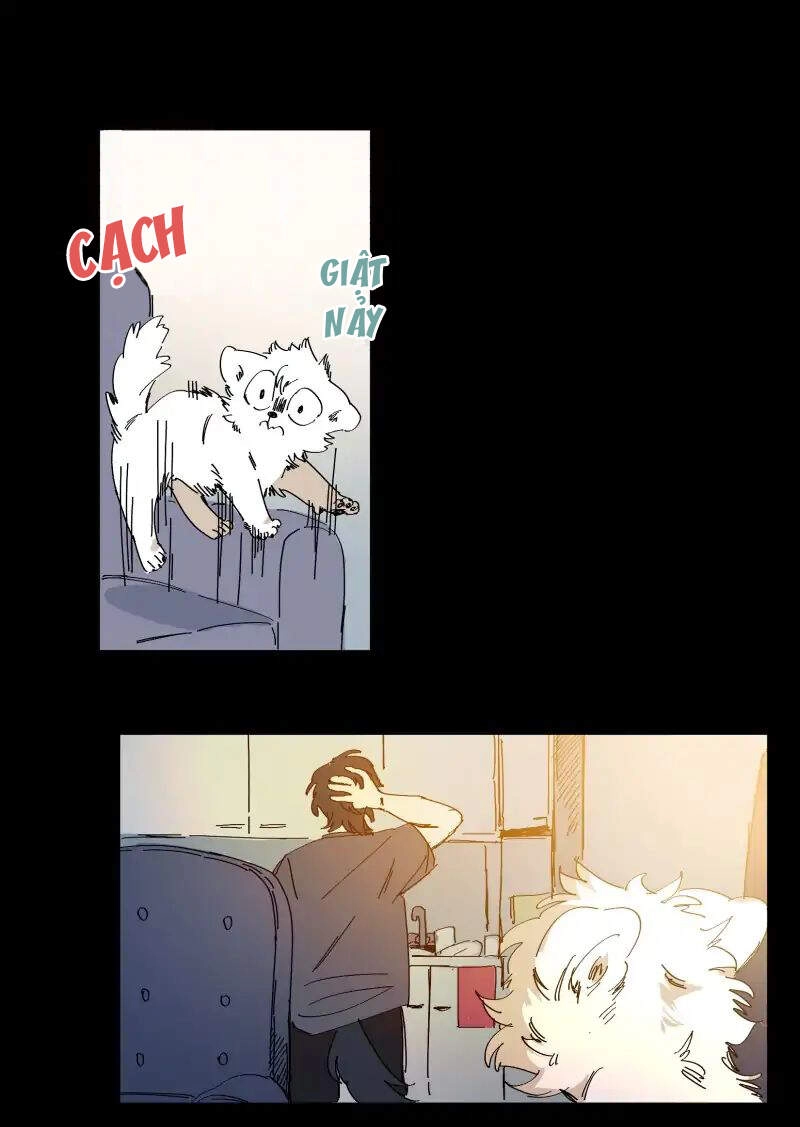 Lumine Chapter 63 - 17