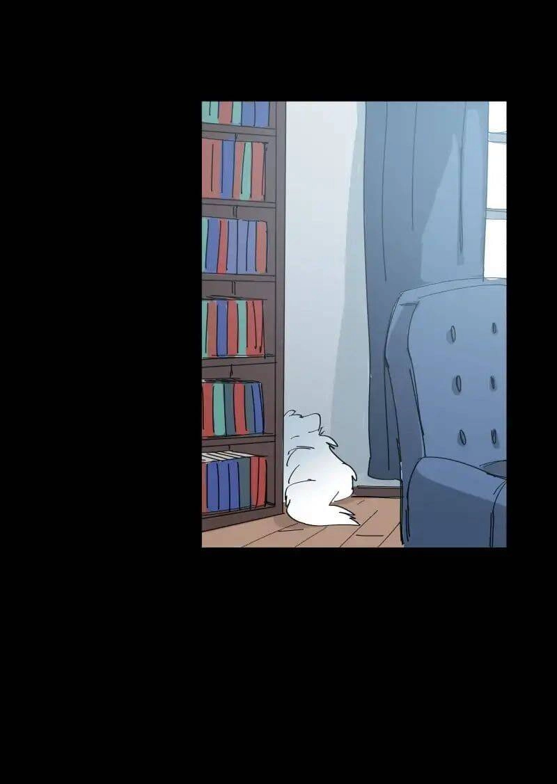 Lumine Chapter 64 - 8