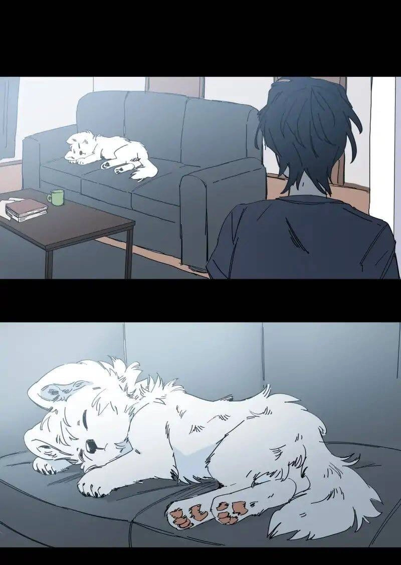 Lumine Chapter 65 - 18