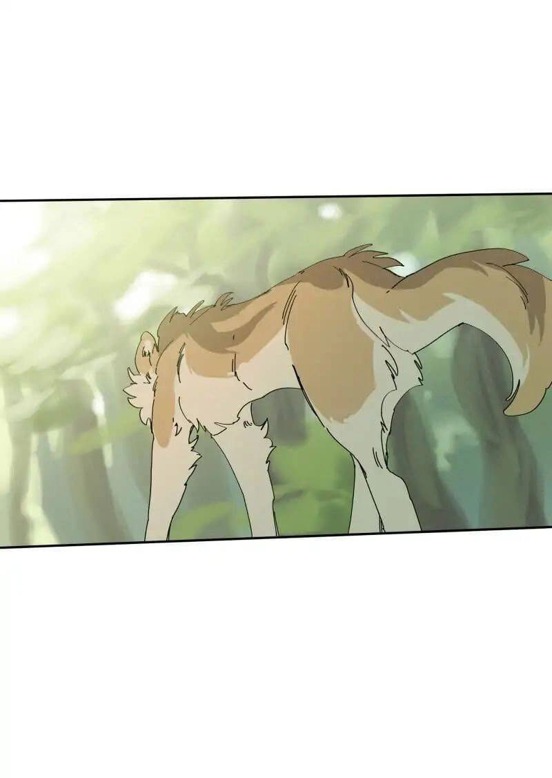 Lumine Chapter 68 - 15