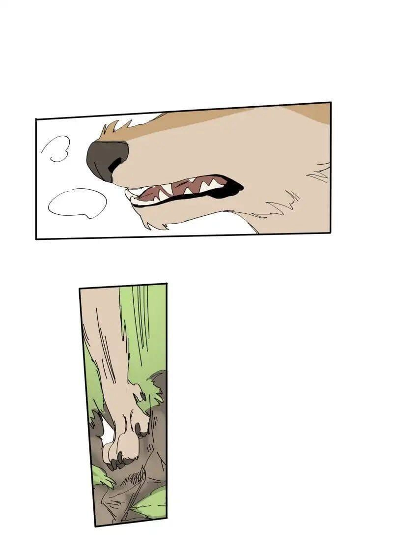 Lumine Chapter 68 - 16