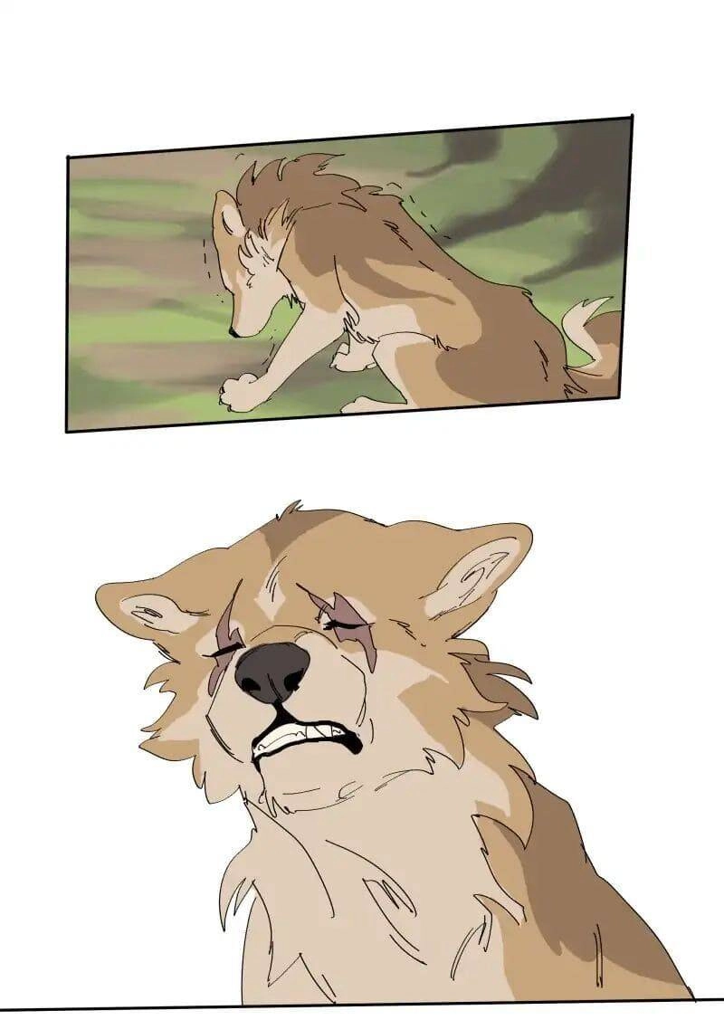 Lumine Chapter 68 - 18