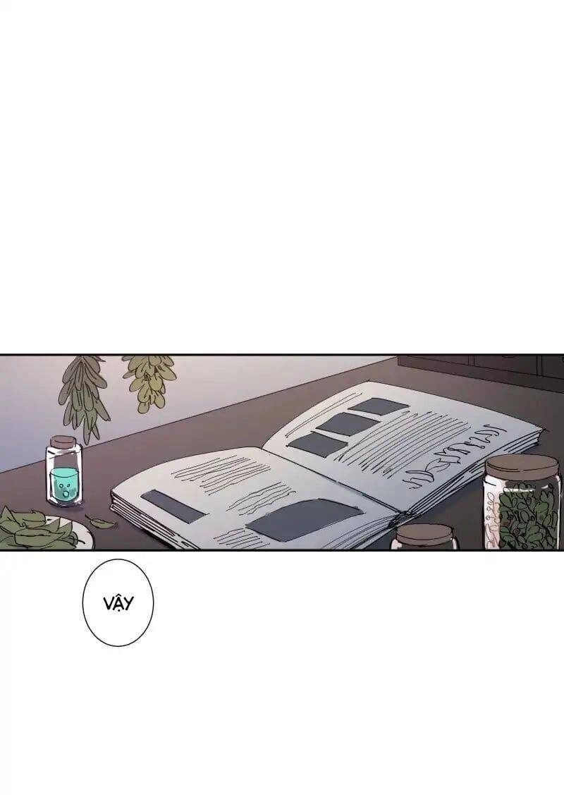 Lumine Chapter 69 - 13