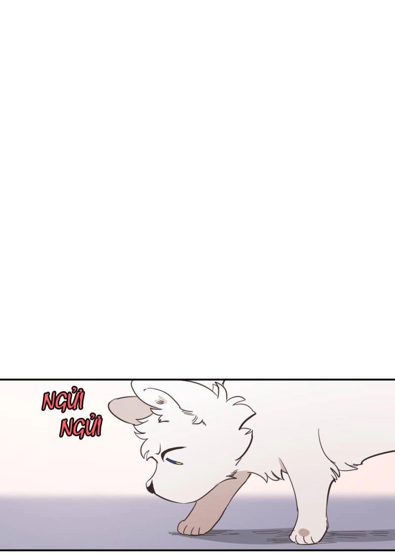 Lumine Chapter 73 - 42