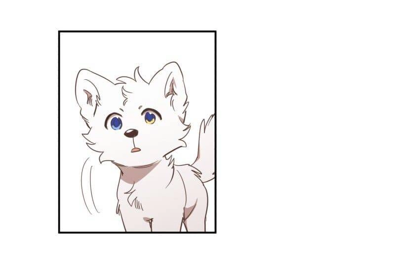 Lumine Chapter 73 - 43